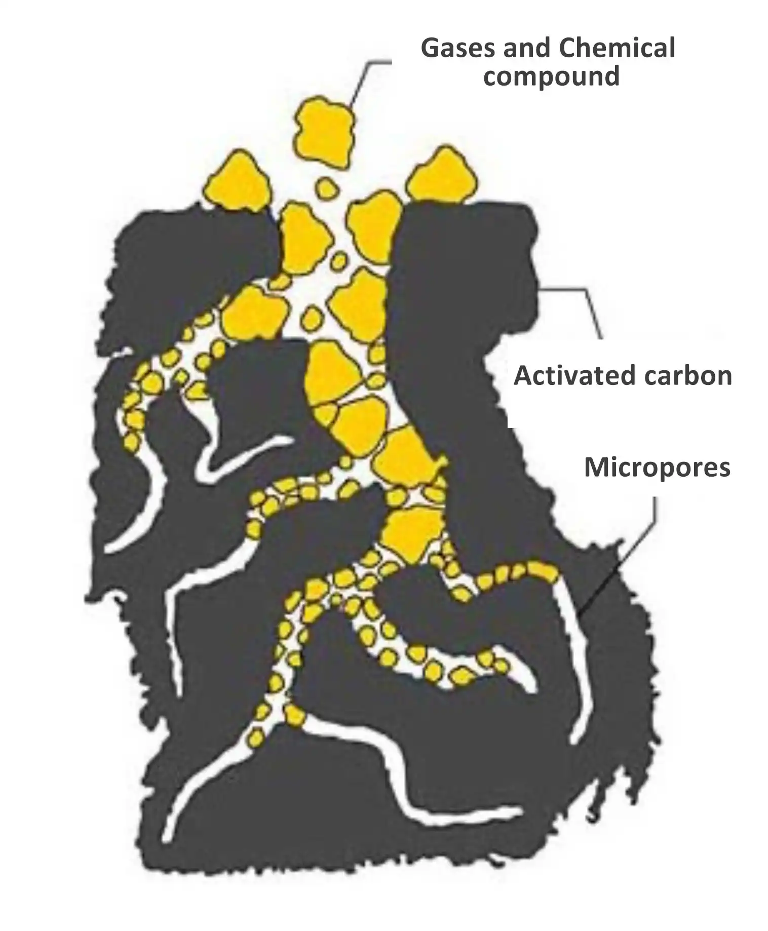 blog-783-783 blog-783-783